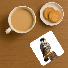 Load image into Gallery viewer, UK Birds of Prey Cork Coaster – Barn Owl / Peregrine Falcon / Red Kite (Choose Your Raptor)