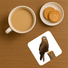 Load image into Gallery viewer, UK Birds of Prey Cork Coaster – Barn Owl / Peregrine Falcon / Red Kite (Choose Your Raptor)