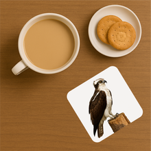 Load image into Gallery viewer, UK Birds of Prey Cork Coaster – Barn Owl / Peregrine Falcon / Red Kite (Choose Your Raptor)