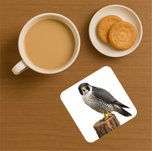 Load image into Gallery viewer, UK Birds of Prey Cork Coaster – Barn Owl / Peregrine Falcon / Red Kite (Choose Your Raptor)