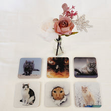 Load image into Gallery viewer, Drinks Coasters, Cat Designs, For Table Top, Mancave Bar, For Coffee Cups, Teacups, Alcoholic Drinks