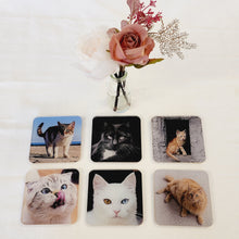 Load image into Gallery viewer, Drinks Coasters, Cat Designs, For Table Top, Mancave Bar, For Coffee Cups, Teacups, Alcoholic Drinks