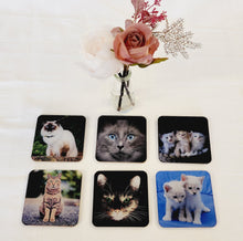 Load image into Gallery viewer, Drinks Coasters, Cat Designs, For Table Top, Mancave Bar, For Coffee Cups, Teacups, Alcoholic Drinks