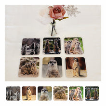 Load image into Gallery viewer, Drinks Coasters, Animal Designs, For Table Top, Mancave Bar, For Coffee Cups, Teacups, Alcoholic Drinks