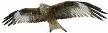 Load image into Gallery viewer, LARGE FLYING RED KITE 1 METRE LONG Decals Stickers for Van Motorhome Camper Wild bird of prey - Bolsover Designs