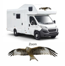 Load image into Gallery viewer, LARGE FLYING RED KITE 1 METRE LONG Decals Stickers for Van Motorhome Camper Wild bird of prey - Bolsover Designs