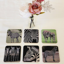 Load image into Gallery viewer, Drinks Coasters, Animal Designs, For Table Top, Mancave Bar, For Coffee Cups, Teacups, Alcoholic Drinks