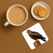 Load image into Gallery viewer, UK Birds of Prey Cork Coaster – Barn Owl / Peregrine Falcon / Red Kite (Choose Your Raptor)
