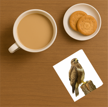 Load image into Gallery viewer, UK Birds of Prey Cork Coaster – Barn Owl / Peregrine Falcon / Red Kite (Choose Your Raptor)
