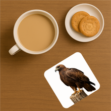 Load image into Gallery viewer, UK Birds of Prey Cork Coaster – Barn Owl / Peregrine Falcon / Red Kite (Choose Your Raptor)

