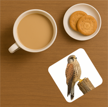 Load image into Gallery viewer, UK Birds of Prey Cork Coaster – Barn Owl / Peregrine Falcon / Red Kite (Choose Your Raptor)

