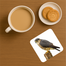 Load image into Gallery viewer, UK Birds of Prey Cork Coaster – Barn Owl / Peregrine Falcon / Red Kite (Choose Your Raptor)
