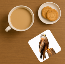 Load image into Gallery viewer, UK Birds of Prey Cork Coaster – Barn Owl / Peregrine Falcon / Red Kite (Choose Your Raptor)
