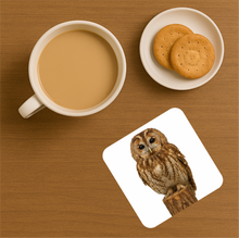 Load image into Gallery viewer, UK Birds of Prey Cork Coaster – Barn Owl / Peregrine Falcon / Red Kite (Choose Your Raptor)
