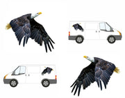 PAIR Flying Eagles Graphics Decals Stickers for Van Motorhome Camper Car Lorry Caravan 2 Sizes - Bolsover Designs