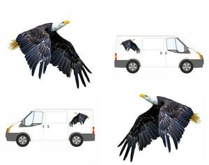PAIR Flying Eagles Graphics Decals Stickers for Van Motorhome Camper Car Lorry Caravan 2 Sizes - Bolsover Designs