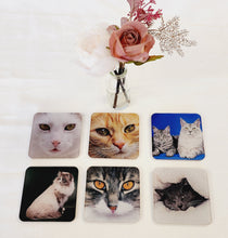 Load image into Gallery viewer, Drinks Coasters, Cat Designs, For Table Top, Mancave Bar, For Coffee Cups, Teacups, Alcoholic Drinks
