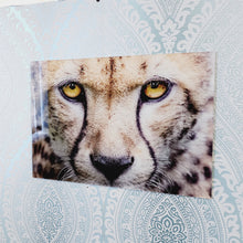 Load image into Gallery viewer, Cheetah, Photo Quality Wall Art, Glass Like but on Acrylic
