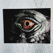Load image into Gallery viewer, Iguana&#39;s Eye, Photo Quality, Super Close Up Wall Art, Glass Like but on Acrylic
