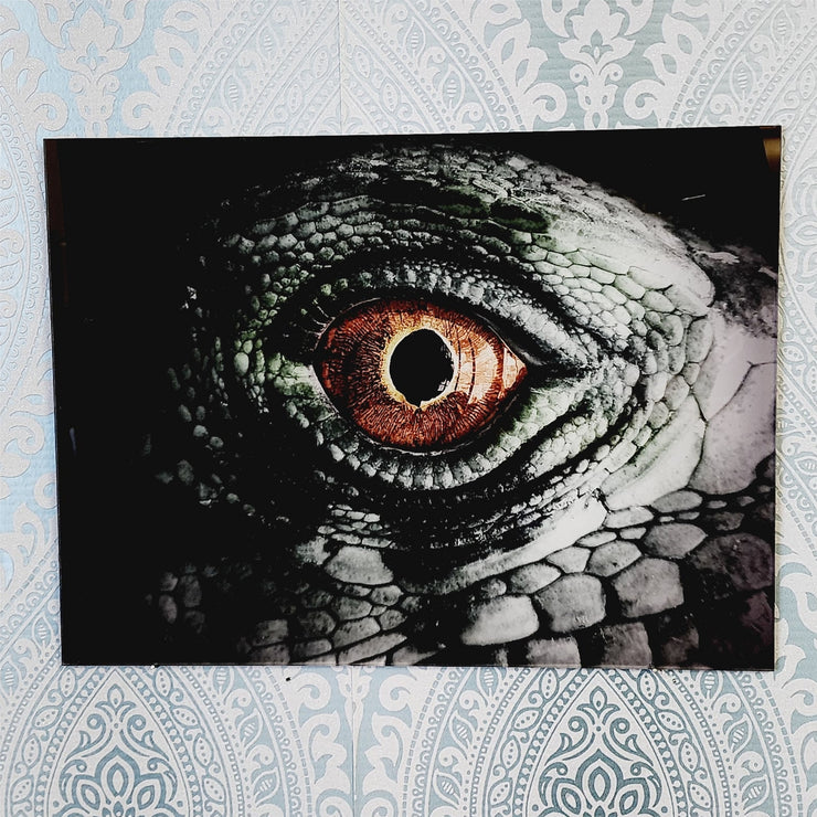 Iguana's Eye, Photo Quality, Super Close Up Wall Art, Glass Like but on Acrylic