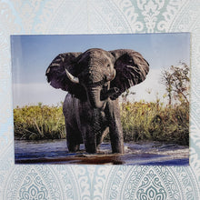 Load image into Gallery viewer, Bull Elephant Threatening, Photo Quality Wall Art, Glass Like but on Acrylic
