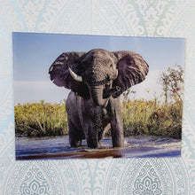Load image into Gallery viewer, Bull Elephant Threatening, Photo Quality Wall Art, Glass Like but on Acrylic
