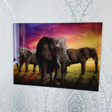 Load image into Gallery viewer, Trio Of Elephants With Colourful Sky, Photo Quality Wall Art, Glass Like but on Acrylic
