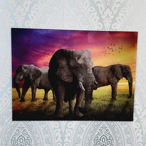 Trio Of Elephants With Colourful Sky, Photo Quality Wall Art, Glass Like but on Acrylic