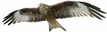Load image into Gallery viewer, LARGE FLYING RED KITE 1 METRE LONG Decals Stickers for Van Motorhome Camper Wild bird of prey - Bolsover Designs
