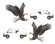 PAIR Eagles Graphics Decals Stickers for Van Motorhome Campervan Lorry Car Caravan Small Medium Large - Bolsover Designs